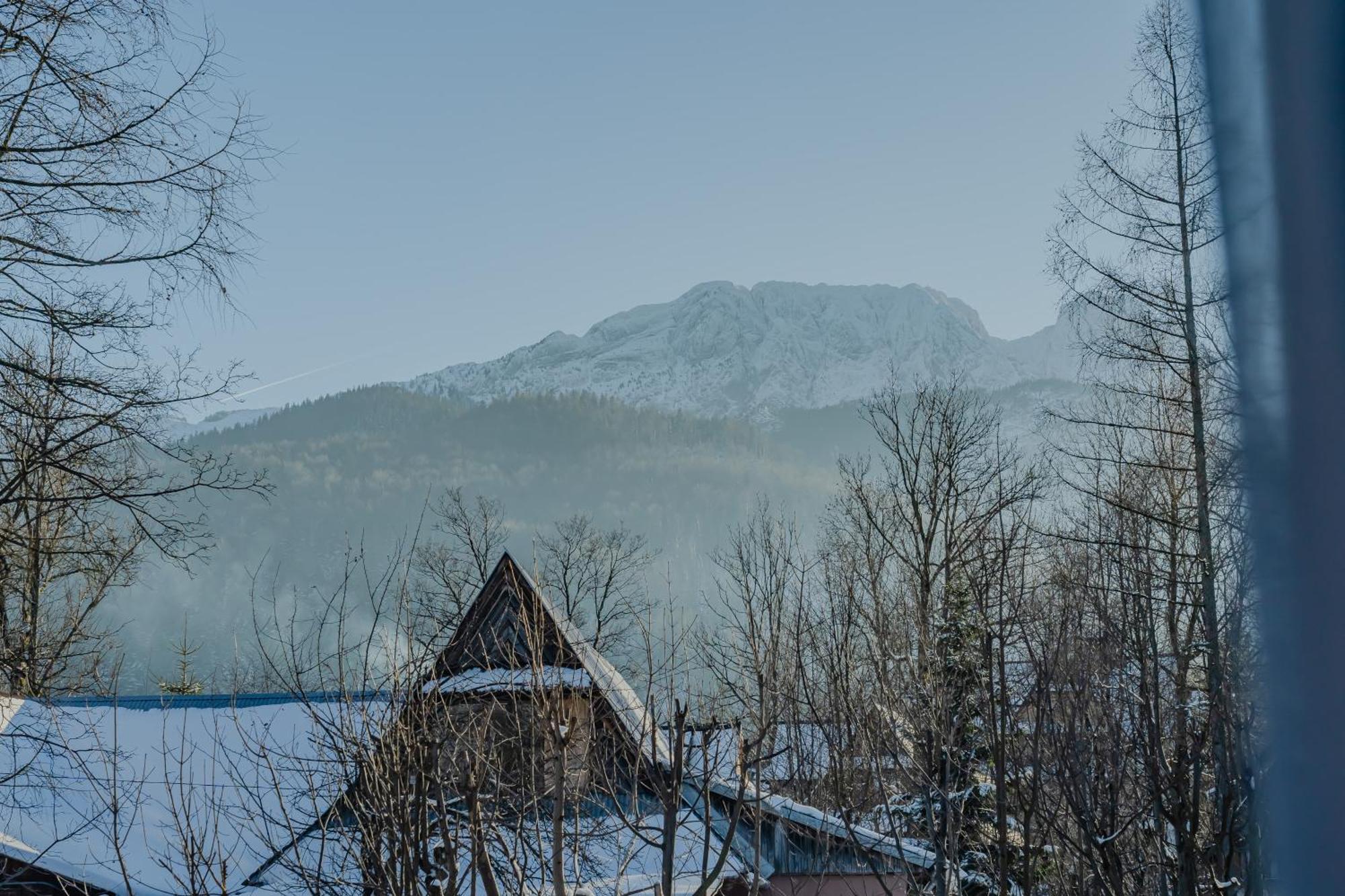 Strazyska 7 Leilighet Zakopane Eksteriør bilde