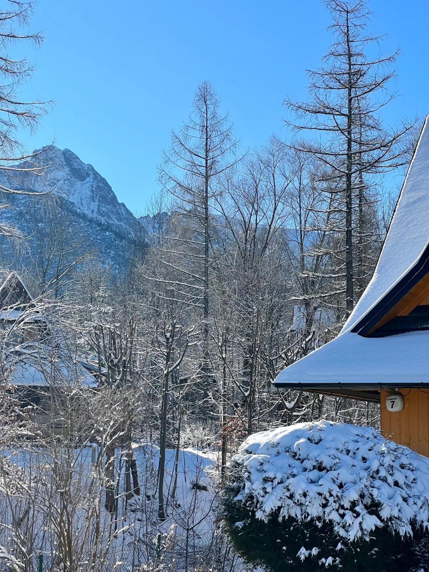Strazyska 7 Leilighet Zakopane Eksteriør bilde
